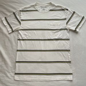 Pacsun Tri-Strip T-Shirt